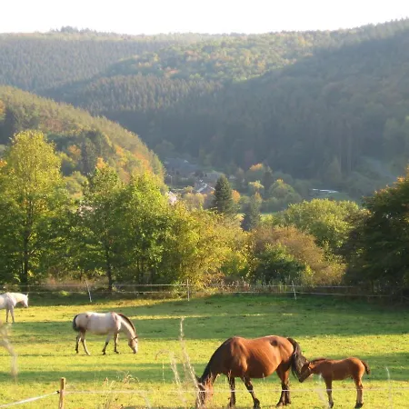 Pretty Ardennes Near The Valley Of Lesse * Vencimont