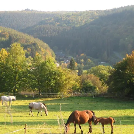 Tranquil Ardennes Retreat Casa de Férias