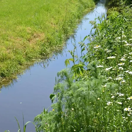Tranquil Ardennes Retreat * Vencimont