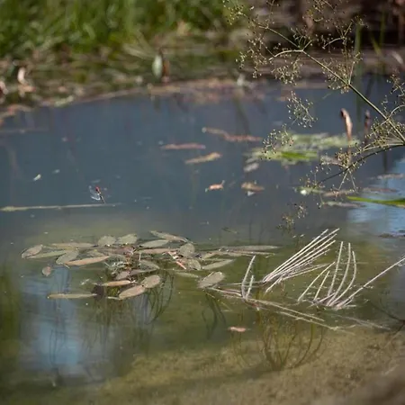 Tranquil Ardennes Retreat