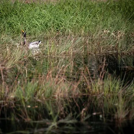 Tranquil Ardennes Retreat 別荘 ヴァンシモン