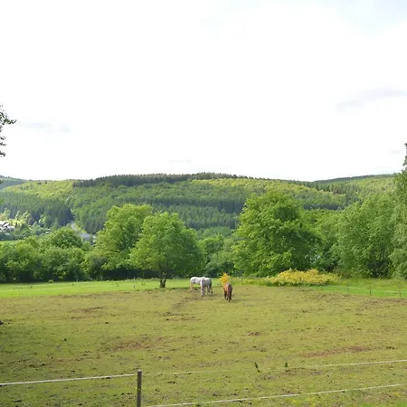 Pretty Ardennes Near The Valley Of Lesse *